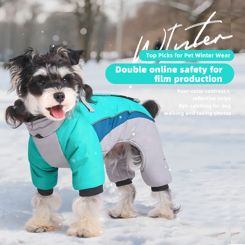 Winter Waterproof Windproof Dog Jacket（Black）